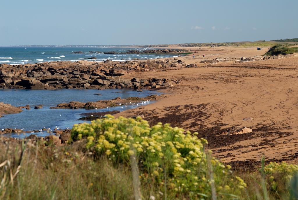 Vacanceole - Les Jardins De L'Amiraute Les Sables-dʼOlonne Eksteriør bilde